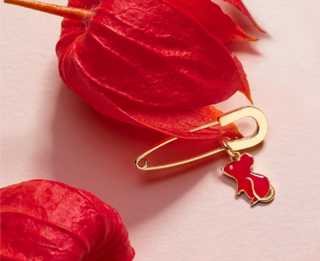 FESTEGGIA L’ANNO DEL TOPO CON IL NUOVO CHARM DI DODO