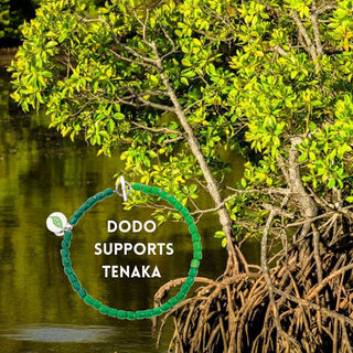 GIORNATA DELLA TERRA 2021- DODO COLLABORA CON TENAKA PER LA RIFORESTAZIONE DI MANGROVIE