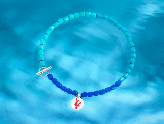 DODO E TĒNAKA INSIEME PER LA SALVAGUARDIA DELLE BARRIERE CORALLINE